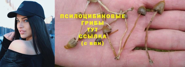 Альфа ПВП Алексин