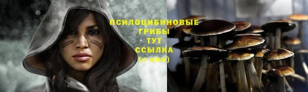 твердый Алексеевка