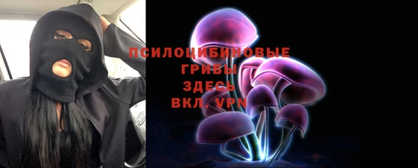твердый Алексеевка