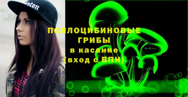 тгк Инта