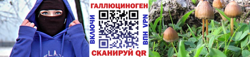 Галлюциногенные грибы Magic Shrooms  даркнет сайт  Хотьково 